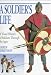 A Soldier's Life: A Visual History of Soldiers Through the Ages