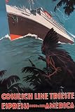 Art Poster, Trieste Cruise Line to North and South America - 18.75 x 27.5