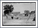 Newswire Photo (S): Turkey - Harvest -- Neutral zone