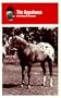 The Appaloosa