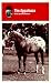 The Appaloosa