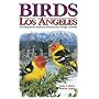 Birds of Los Angeles: Including Santa Barbara, Ventura and Orange Counties (U.S. City Bird Guides)