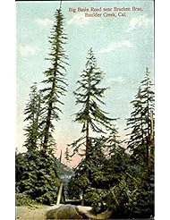Entertainment Memorabilia: Big Basin Road Near Bracken Brae Boulder Creek, California Original Vintage Postcard - M. Rieder Publisher