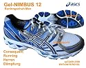 Asics GEL-Nimbus 12 laufschuhe