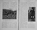 1911 Walters Herzog Beaufort Hounds Short Sport Jagend