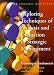 Books : Exploring Techniques of Analysis and Evaluation in Strategic Management (Exploring Strategic Management)