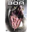 Boa (Dol Dts)