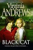 Black Cat (Gemini)