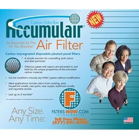 20x20x1 Day and Night Carbon Replacement Filter