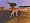 Zoo Tycoon 2 (PC CD)