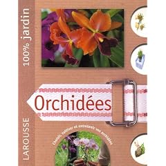 Orchid�es