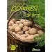 La culture des pommes de terre