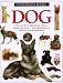 Books : Dog (Eyewitness Books (Knopf Hardcover))