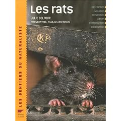 Les rats