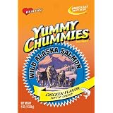 Arctic Paws 4-Ounce Salmon and Rice with Chicken Flavor Yummy Chummies by Arctic Paws