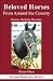 Beloved Horses from Around the Country: Horses Helping Humans