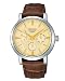 SEIKO (セイコー) 腕時計 MECHANICAL メカニカル SARC005 メンズ