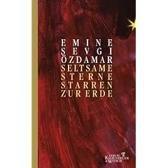 Seltsame Sterne starren zur Erde.