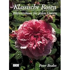Klassische Rosen