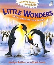 Little Wonders: Animal Babies and Their Families