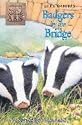 Badgers by the Bridge (Animal Ark)