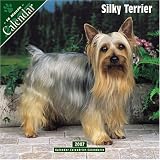 Silky Terrier 2007 Wall Calendar
