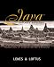 Java Software Solutions: Foundations of Program Design
