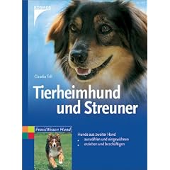 Tierheimhund und Streuner
