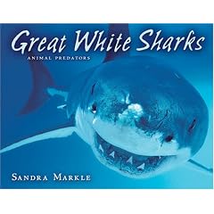 Great White Sharks (Animal Predators)
