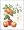 The New Book of Apples: The Definitive Guide to over 2000 Varieties