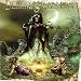 Demons & Wizards