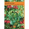 Wildfr�chte: Sammeln und Verarbeiten zu Marmeladen und mehr