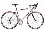 Schwinn 2006 Fastback Comp Road Bike