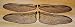 Four Sets. 2xTrue to Life Etched Filigree Dragonfly Wings