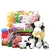 Baby Einstein Farm Animals in Mini Radio Flyer Wagon Gift Basket - Unique Baby Shower Gift Idea