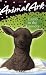 Lamb in the Laundry (Animal Ark)