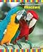 Macaws (Birdkeepers' Guides)