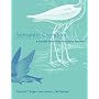 Semantic Cognition: A Parallel Distributed Processing Approach (Bradford Book)