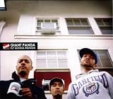 Giant Panda -  Fly School Reunion