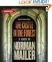 The Castle in the Forest