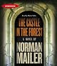 The Castle in the Forest: A Novel