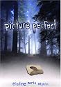 Picture Perfect