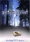 Picture Perfect (Young Adult Fiction)