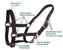 Double Ply Brown Nylon Halter - Pony Size