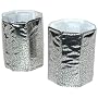 Vacu Vin Rapid Ice Silver Can Chillers, Set of 2