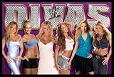 Wwe Divas Trish Stratus Stacy Keibler Torrie Hot Art Black Wood-Mounted Poster Print - 24