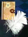 Harry Potter Hogwarts Mini Journal and Quill Feather DH