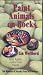 Paint Animals on Rocks [VHS]