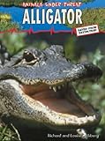 Alligator : saved from extinction