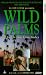 VHS : Wild Palms - The Dream Concludes [1992]